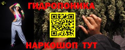 гашик Ливны
