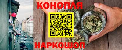 гашик Ливны