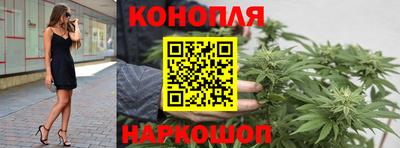 гашик Ливны