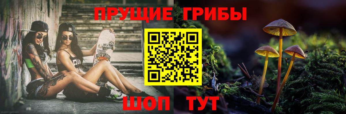 Зеленокумск  Псилоцибиновые грибы MAGIC MUSHROOMS  Вход с VPN 